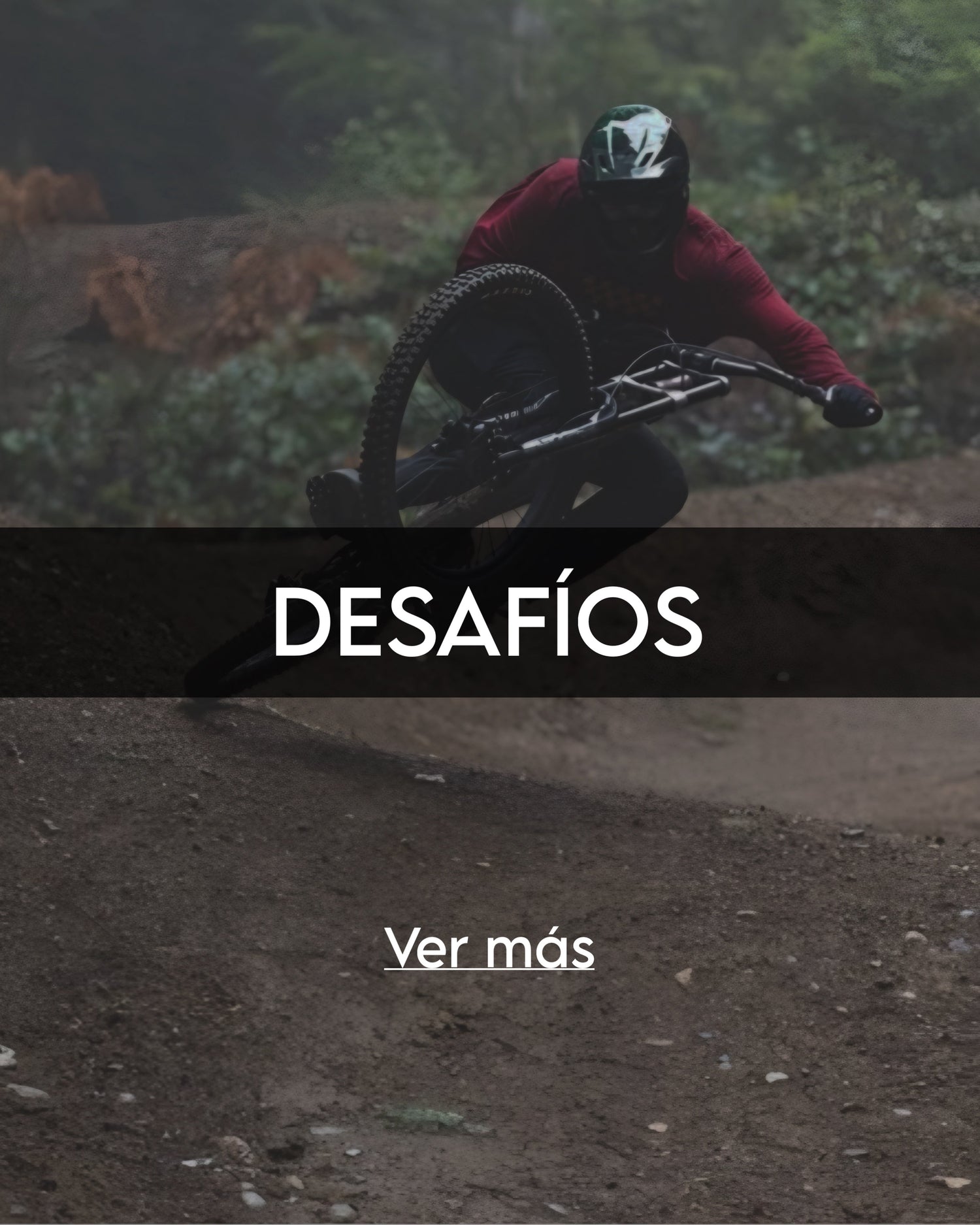 Desafíos